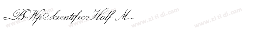 BW7pScientificHalf M字体转换